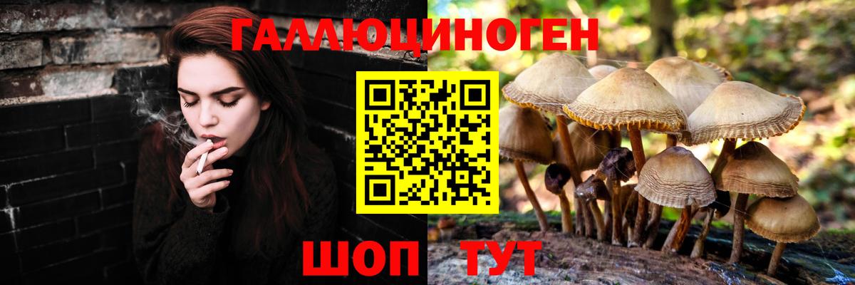 Кушва  Псилоцибиновые грибы Psilocybine cubensis  Псилоцибиновые грибы Magic Shrooms  Вход с VPN 